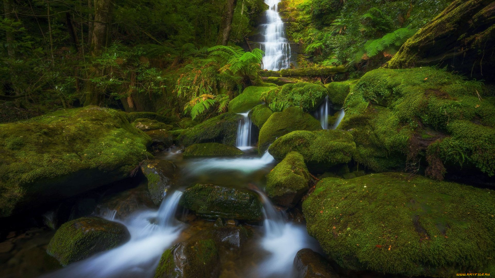 bastion creek cascades, tasmania, australia, , , bastion, creek, cascades